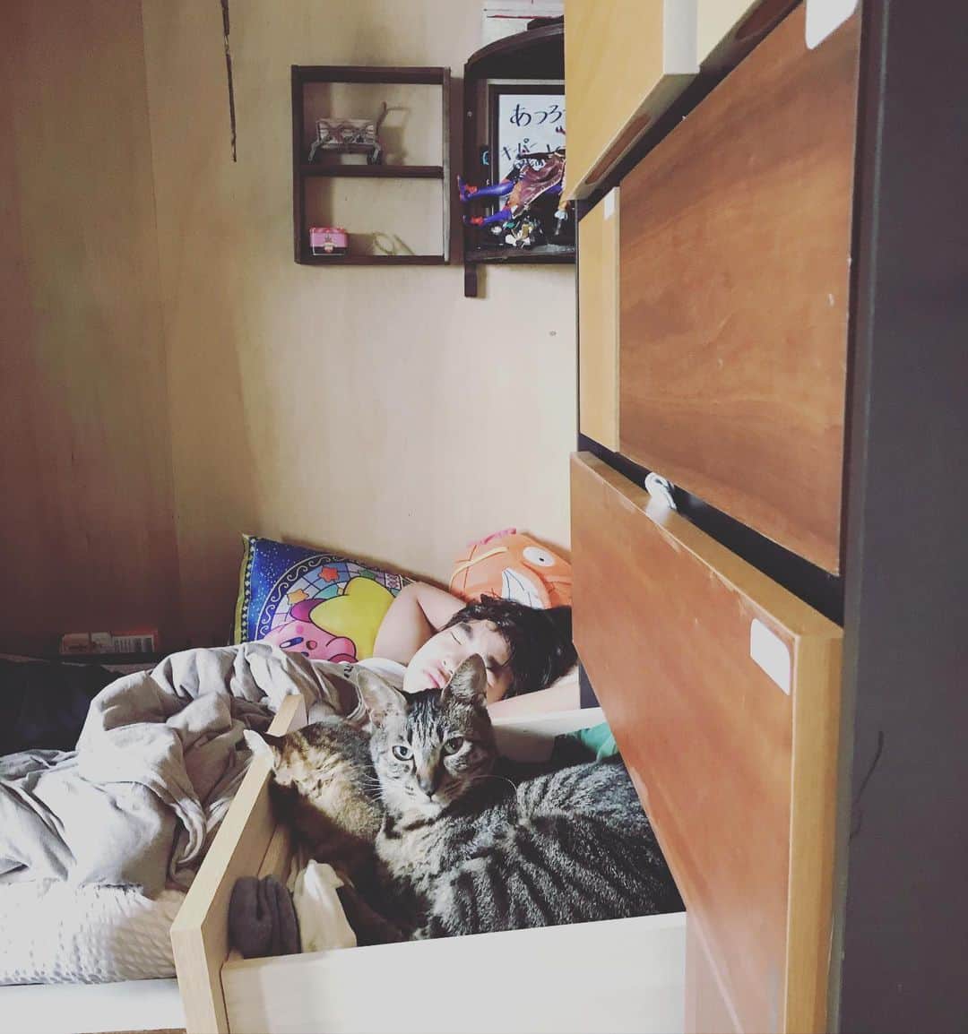 makicocomoのインスタグラム：「今日から合宿、惇郎。 朝起こしに部屋に入ると、居心地良さそうに振り返られました(*´-`) 引き出しの荷物が減ってて良かったね。」