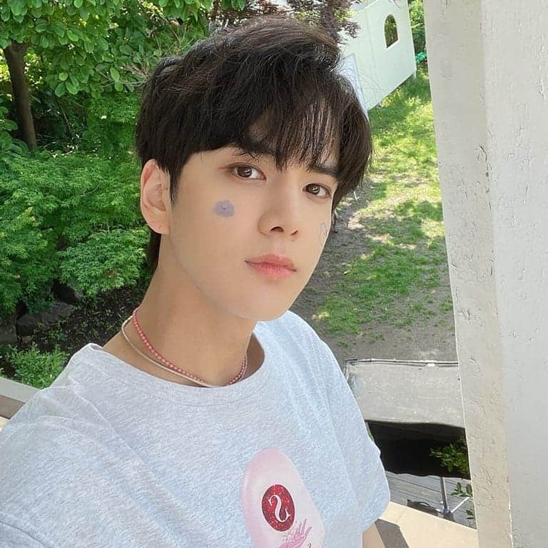 ヨンフンさんのインスタグラム写真 - (ヨンフンInstagram)「(영훈) 스티커 🐻 #THEBOYZ #더보이즈 #YOUNGHOON #영훈」6月12日 17時51分 - younghoon.theboyz