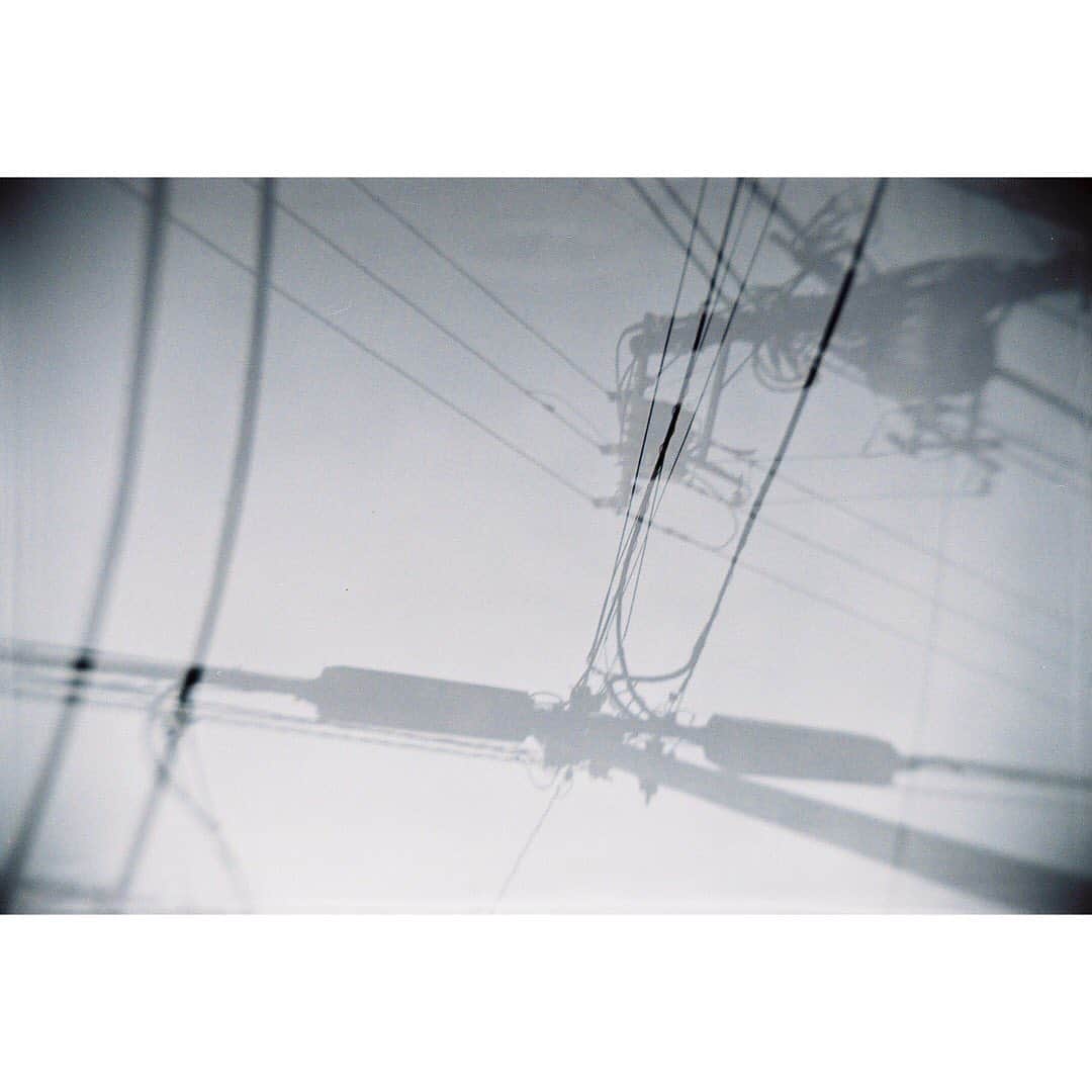 大原梓さんのインスタグラム写真 - (大原梓Instagram)「YouTube企画で撮った写真たち。 簡単な二眼レフカメラで撮ったけど、全部めちゃくちゃ良い感じ☺︎ 動画も見てねん︎︎︎︎✌︎ #二眼レフカメラ #東京 #糸島」6月12日 18時08分 - ohara_azusa