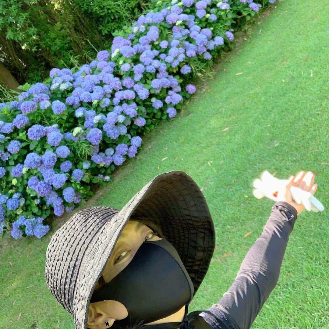 前田典子さんのインスタグラム写真 - (前田典子Instagram)「#紫陽花の季節 💜💙💜 ガーデニング中　では無くて #ゴルフ⛳️ です　😁 日除けに☀️ こちらの帽子の縁にはワイヤーが入っているので形を変えられます 横からの日差しも防げるし アゴひも付きで風で吹き飛ばされてる事も無くプレイできる👍🏌️‍♀️ @chapeaud_o  の帽子です👒　夏のワンピースにも合わせて被ってます👗  #マダムゴルフ🏌️‍♀️🏌️‍♀️🏌️‍♀️🏌️‍♀️ 昨日のメンバーは @maikotakedaogawa  @keiko_ashida  @renapin0170   #おしゃべりゴルフ カート移動中は 韓ドラの話しやら 食🍣や美容の話しなど #楽しすぎ😆🏌️‍♀️ スコア104 ぼちぼち頑張ってます😅 #池ポチャ　3球💦  韓ドラは今 #mine ハマってます 配信が楽しみ💕  昨夜は #skyキャッスル見終わりました 😁　面白かった #ネマリネマリ🤣  mine配信待ちながら次は #結婚作詞離婚作曲  1話突入　  #寝ろ〜‼️ ←自分に突っ込み🤣」6月12日 10時31分 - maenorichang