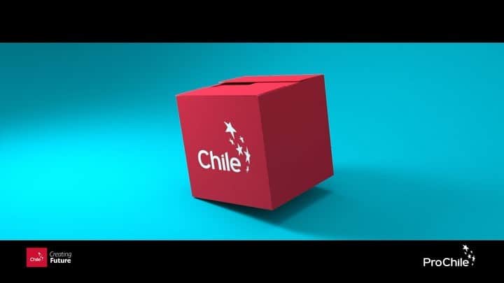 アレクシス・サンチェスのインスタグラム：「Miren, acá tengo una parte de #Chile ¡Vamos!  Es increíble la calidad y dedicación que hay detrás de los productos y servicios chilenos. Hay mucha innovación y talento en toda su oferta. Para mí es un orgullo hacer #UnboxingChile y ver todo lo que sale al mundo.   Cada vez que abres un producto chileno, estás haciendo #UnboxingChile    @ProChileCl @FruitsFromChile @SalmondeChile @WinesofChile @ChilePork  #UnboxingChile #Unboxing #ProChile #Chile」