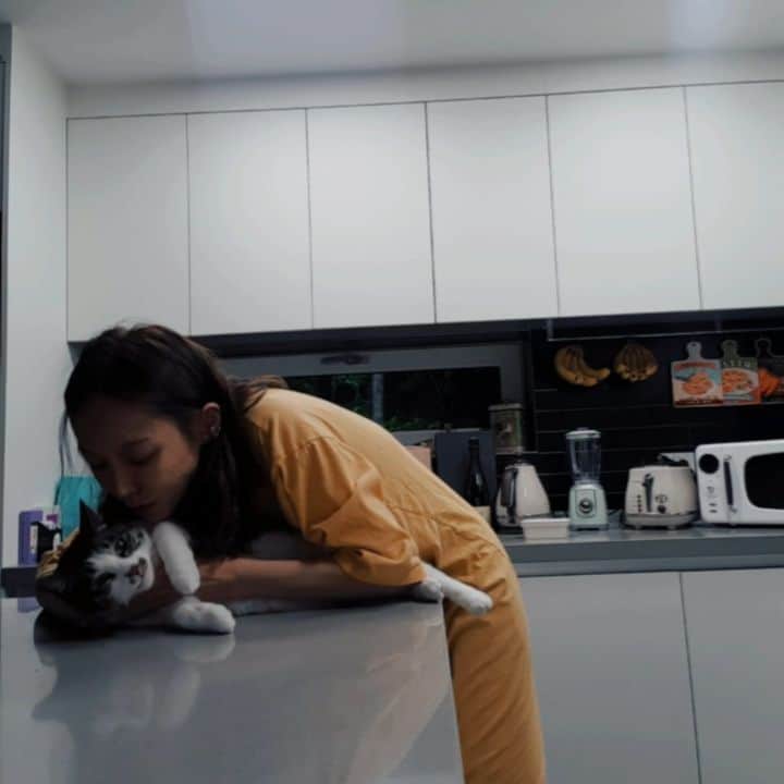 シン・ソユルのインスタグラム：「고영이 자랑🐾 나 집에 순하고 착한 고영희있어:)」