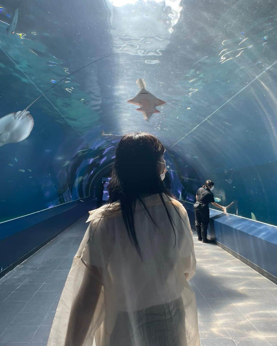 吉田莉桜さんのインスタグラム写真 - (吉田莉桜Instagram)「🐠🐠🐠 ・ ・ ・ ・ ・ 色んな水族館に行きたい…💭❤️ #水族館 #海」6月12日 19時14分 - yoshida_rio_official