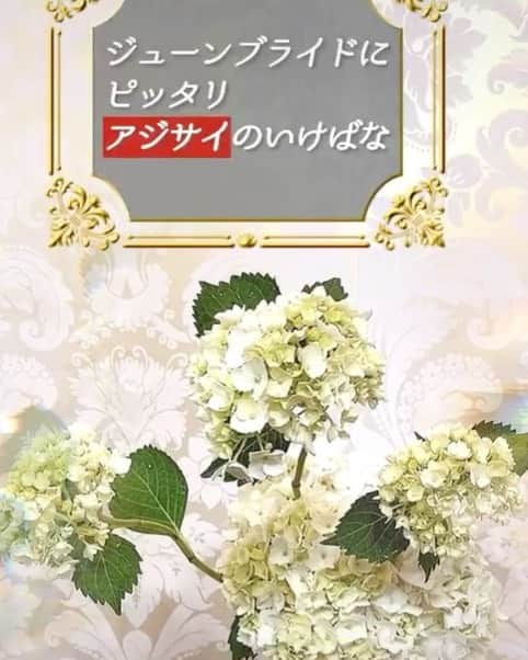 假屋崎省吾