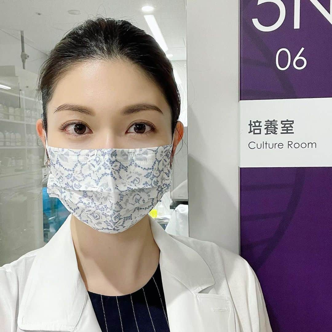 櫻井麻美のインスタグラム：「今日は、昨日蒔いた細胞が死んでしまいました😢なんでだろう… ・ そして新しい細胞を蒔きました🧫 明日は元気に育っていてくれますように🙏 ・ 新しい発見に向かって✨✨ ・ ・ #実験 #医学研究 #がんばれアラフォー学生」