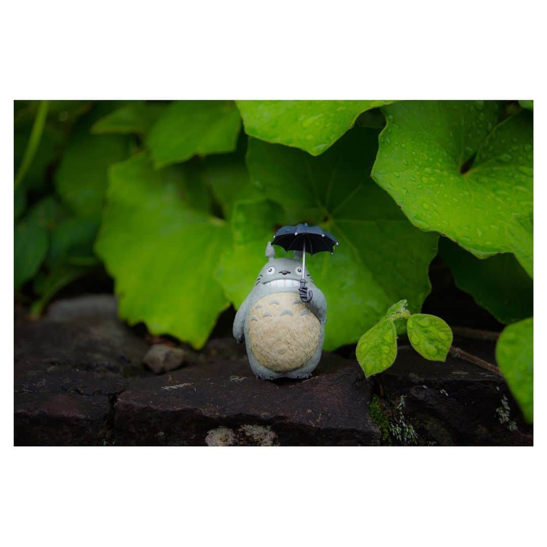 nqouのインスタグラム：「#となりのトトロ #トトロ #totoro #ジブリ #ghibli #nqouminiature」