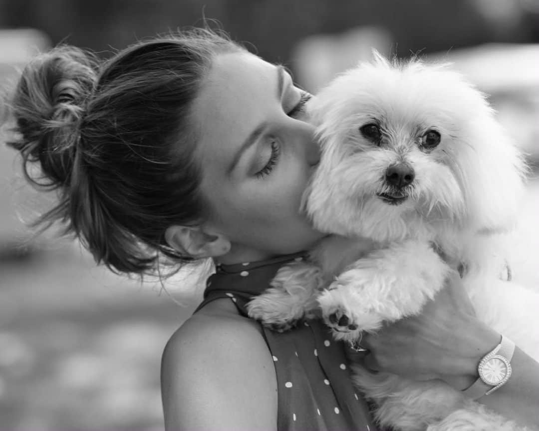 オリヴィア・パレルモのインスタグラム：「Mr. Butler’s Sweet 16! 🐶💫🎂 Happy birthday to my fluffy partner in crime! 🐾🐾💕」