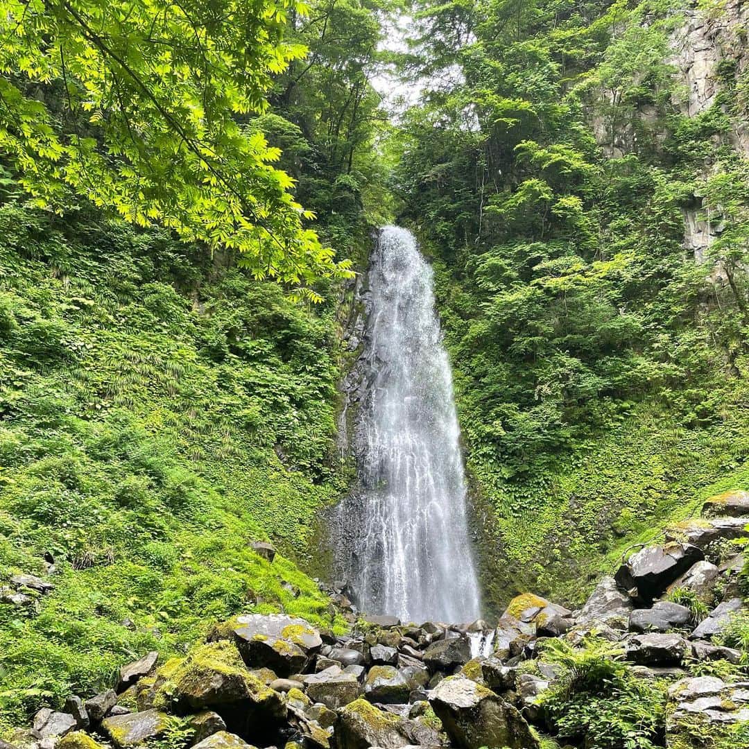 田中律子さんのインスタグラム写真 - (田中律子Instagram)「TOKAIケーブルネットワーク 『田中律子のもっと旅するSUP』 鳥取ロケは、砂丘から滝からジオパークから鳥取満喫🏄‍♀️🌞  この雨滝、ホントに気持ち良かった🤩マイナスイオンたっぷり浴びて心身共にリフレッシュ🙌新緑の色と水に濡れた苔と、透き通った水、 ジブリの世界でございました😍  パンツ　@alwayssunshineco.okinawa   #tokaiケーブルネットワーク  #田中律子のもっと旅するsup  #番組5年目  #鳥取ロケ #sup #supyoga  #日本サップヨガ協会」6月13日 8時27分 - ri2kotanaka