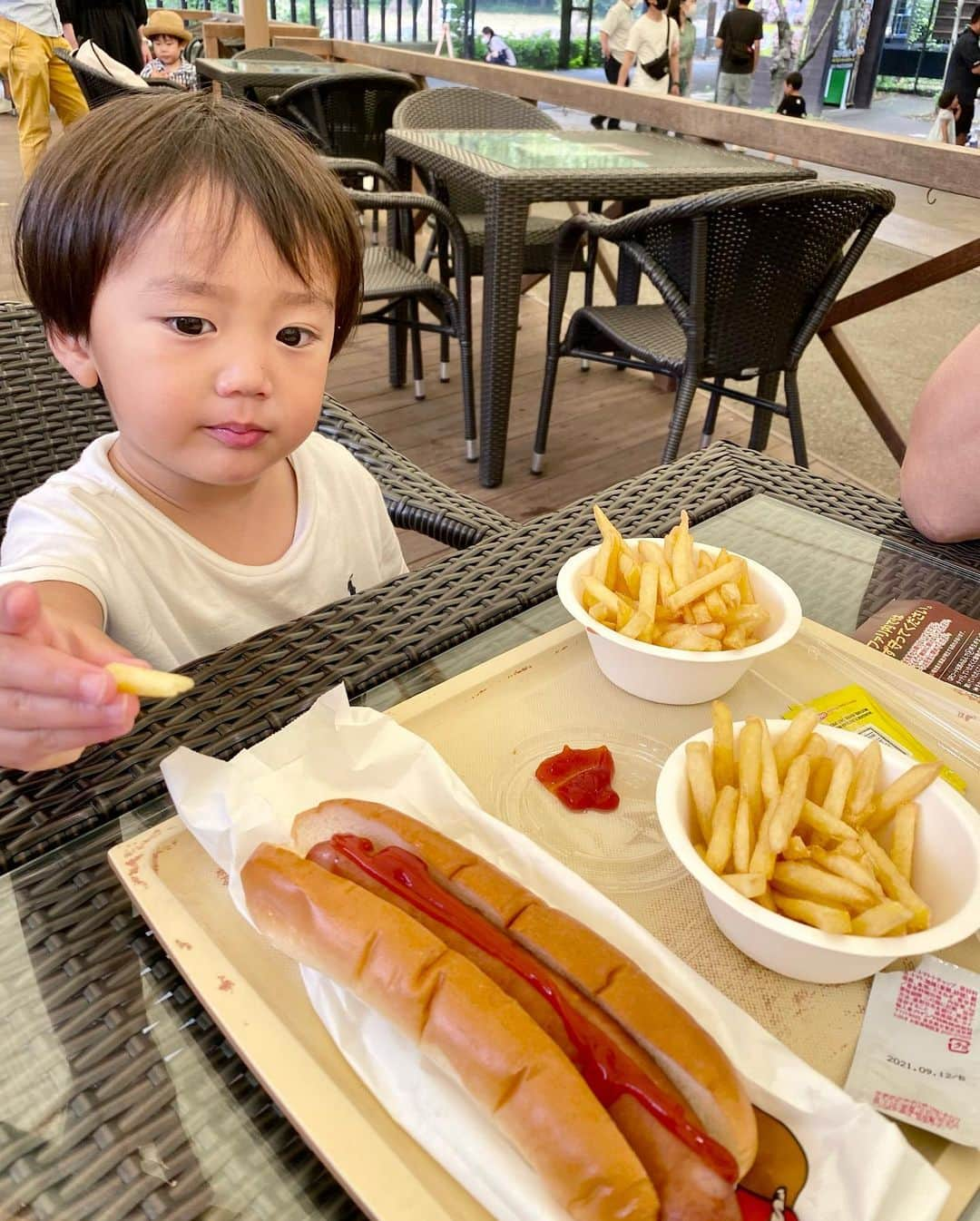 輝良まさとさんのインスタグラム写真 - (輝良まさとInstagram)「・ 思い立ち弾丸旅行③ これで最後😂  2021.6.13  朝起きてみたら雨模様💦 しかしチェックアウトする頃にはやんでいたので、昨日行けなかった三田のプレミアムアウトレットへ‼️  しかーーーーし💦💦 いざ着いてみると『休館日』の看板…😵💨 えぇーーー、まじかーーーい、30分かけて来たのにーーーとテンションだだ下がりしましたが（下調べをなぜしなかったのか自分😫💦）、車を停めてどこに行こうか…と地図と睨めっこ🗾  ふと【そーいや姫路セントラルパークって近いのかな？】と思い出したので調べてみると、アウトレットから45分ぐらいだったので、じゃあそこに行くかーー‼️と決まりました🤣  真那人は2日連続の動物との触れ合いやら観光でしたが、昨日はいなかった動物がたくさんいてまたまたハイテンション❣️❣️ その後は遊園地の方へも移動して、たくさん歩き回って遊んでいました😊  この日はアウトレットから姫路セントラルパークへ向かう車の中で45分ほど昼寝しただけだったので（10:15〜11:00）、遊び倒し帰りの車の中もテンションMAXで騒ぎ散らし、家に帰って来てからシャワーを浴びて夕飯を食べたら19:15にもぅ寝てしまいました😂😂😂  弾丸だったけど私たちも真那人もとーーーっても楽しめた旅行になりました❤️ 真那人の誕生日ハイからの勢いで来ちゃったけど、あとから旅館代やら飲食代やらレンタカー・ETC代などのカード請求が来たらあぁーーーー諭吉ーーー💦💦ってなるんだろうな…笑 でもこういう思い出はプライスレスですよね‼️（と自分に言い聞かせたいのと、みなさんに同調してほしいだけ😂笑）  思い出に残る真那人2歳の誕生日WEEKでした👍 お付き合いいただき有難うございました❤️笑  #姫路セントラルパーク#姫セン#弾丸旅行#楽しかった#諭吉さようなら#レインボーベビー#レインボーベビー真那人#令和元年ベビー#6月生まれ#2歳#なりました#幼児#やんちゃ#活発#元気いっぱい#可愛い#愛おしい」6月13日 21時56分 - kirahama0703