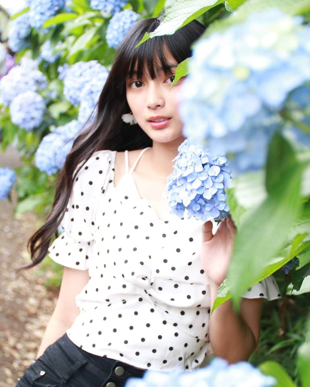 小寺結花さんのインスタグラム写真 - (小寺結花Instagram)「・ Japanese hydrangea❁❁  #紫陽花 #あじさい #June」6月13日 22時07分 - yuikakodera_box