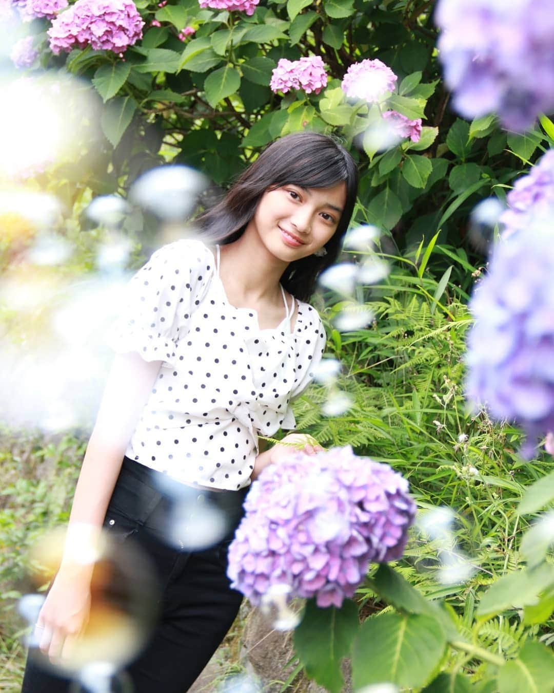 小寺結花さんのインスタグラム写真 - (小寺結花Instagram)「・ Japanese hydrangea❁❁  #紫陽花 #あじさい #June」6月13日 22時07分 - yuikakodera_box