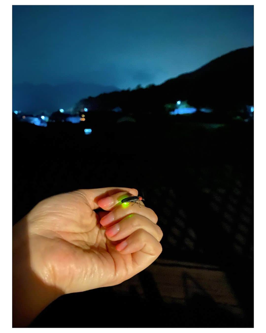 吉竹史のインスタグラム：「左手の薬指に輝くものが😍🌟 と思ったら、すぐ中指に移動してた。  ‥‥‥🙃  蛍の季節ですね＾＾  #ほたる　#ホタル　#蛍　#firefly  #左手の薬指にプレッシャーを感じたホタル」