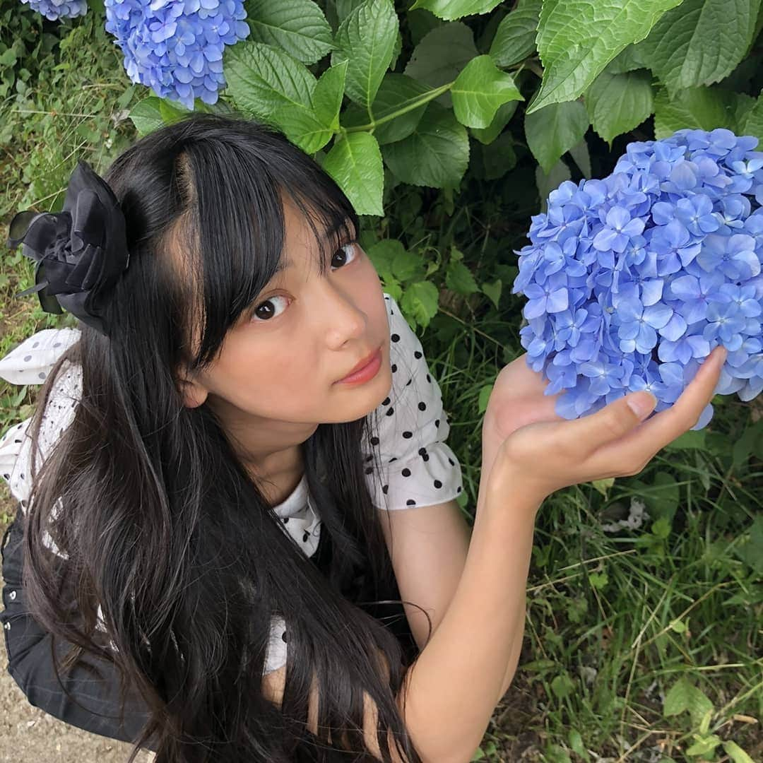 小寺結花さんのインスタグラム写真 - (小寺結花Instagram)「・ こんにちは🌞  紫陽花を見に行ったのに......南国感が半端ない...なぜ🤔  #紫陽花 #あじさい #6月」6月13日 15時31分 - yuikakodera_box