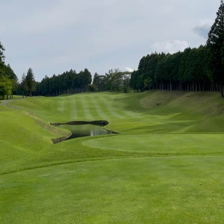 宮崎宣子のグルメインスタ