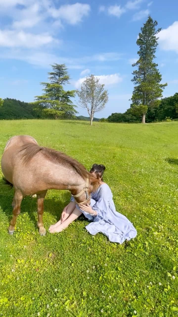 ダンシーシャノン美沙のインスタグラム：「天空の庭💫✨🌱🧚‍♀️ @amamu_official」