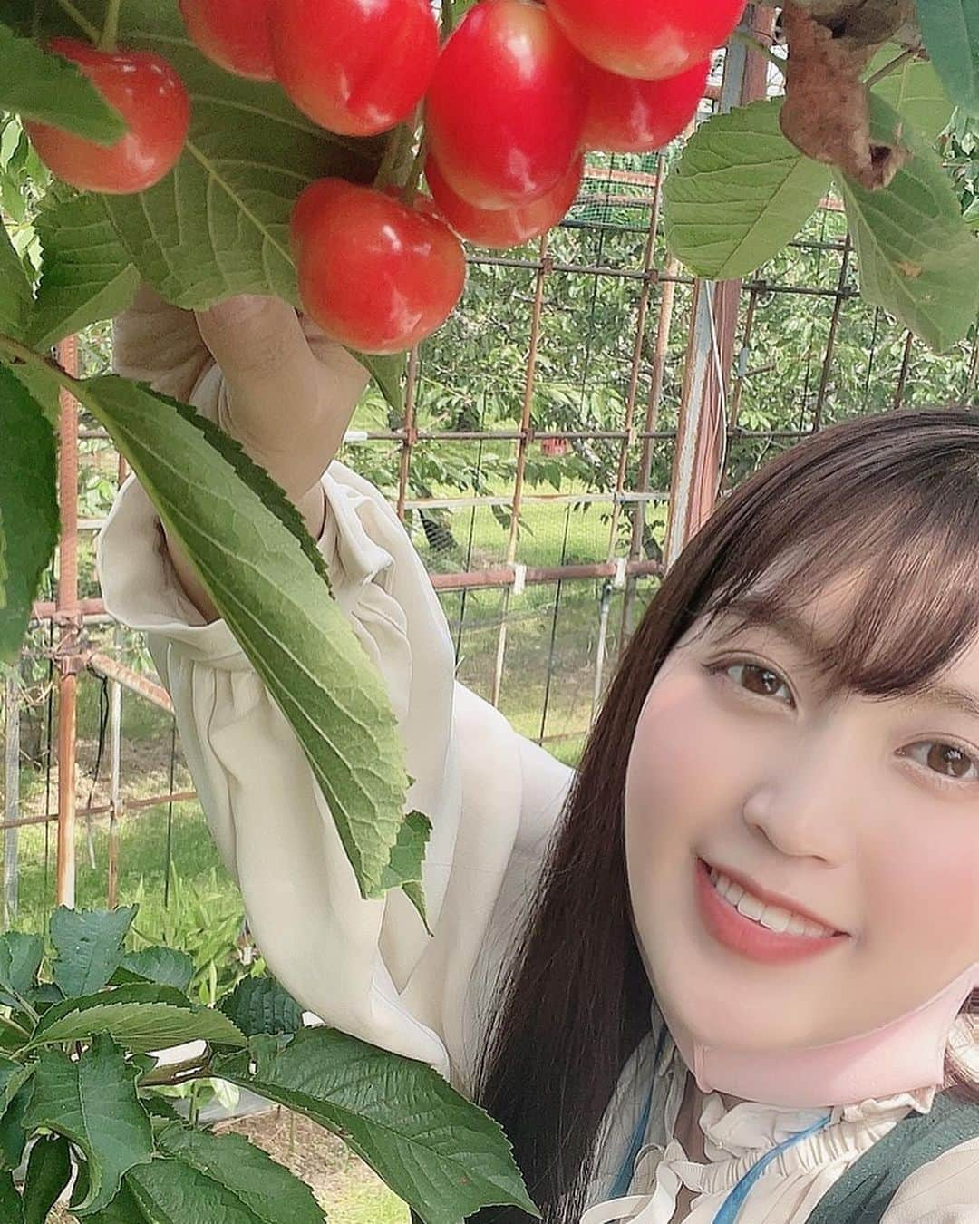 白藤有華（おゆか）さんのインスタグラム写真 - (白藤有華（おゆか）Instagram)「わーたしさくらんぼ🍒  #さくらんぼ　#ぷる尻　#グラビアアイドル #恵比寿マスカッツ #ふわふわ #撮影 #モデル #アイドル　#sexy #tokyo #japan #桃尻 #sexygirl #asian #asianbeauty #japanesegirl #japanesegravure #cute #me #くびれ #おしり #gravureidol #idol #love #likeforlike #instagood #ootd  #偶像 #맞팔 #脚フェチ  Image video will be released "PrusiriOYuka" Released on May 21  https://www.dmm.com/mono/dvd/-/detail/=/cid=n_641enfd5917tk/  https://fanicon.net/fancommunities/3613  This is my fan club. Lots of ass  这是一个粉丝俱乐部。 请进！」6月13日 19時49分 - yuka_shirafuji