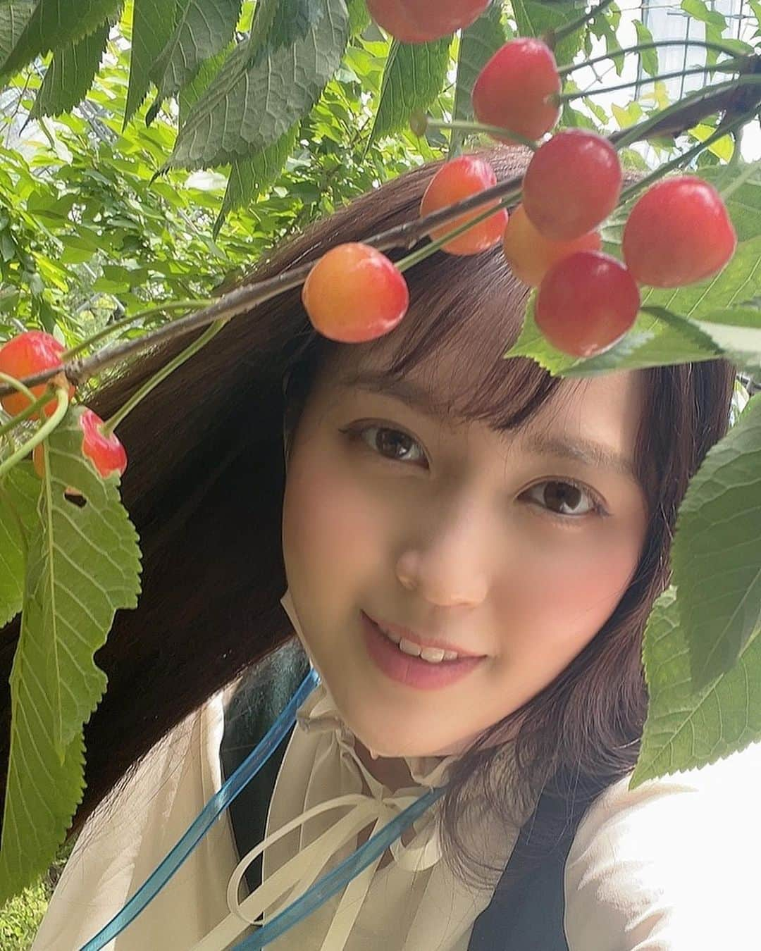 白藤有華（おゆか）さんのインスタグラム写真 - (白藤有華（おゆか）Instagram)「わーたしさくらんぼ🍒  #さくらんぼ　#ぷる尻　#グラビアアイドル #恵比寿マスカッツ #ふわふわ #撮影 #モデル #アイドル　#sexy #tokyo #japan #桃尻 #sexygirl #asian #asianbeauty #japanesegirl #japanesegravure #cute #me #くびれ #おしり #gravureidol #idol #love #likeforlike #instagood #ootd  #偶像 #맞팔 #脚フェチ  Image video will be released "PrusiriOYuka" Released on May 21  https://www.dmm.com/mono/dvd/-/detail/=/cid=n_641enfd5917tk/  https://fanicon.net/fancommunities/3613  This is my fan club. Lots of ass  这是一个粉丝俱乐部。 请进！」6月13日 19時49分 - yuka_shirafuji