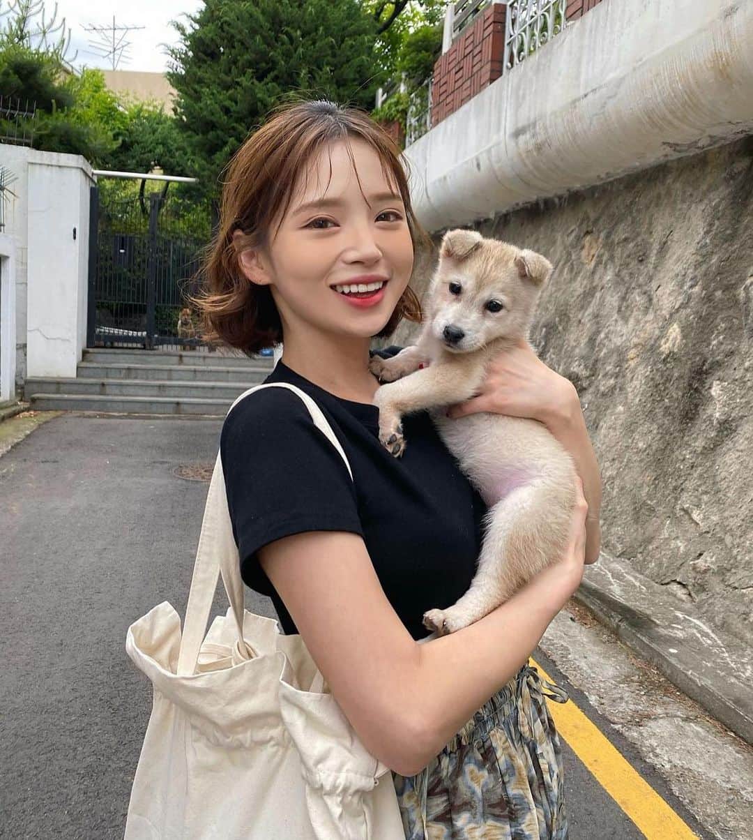 Yoonbitnaのインスタグラム：「너가 우리에게 처음 온 날 6.1일  우리 막둥이 시로❤️  우리한테 와줘서 넘 고마워 생일 축하해🐶💓  6월달엔 엄마가 정신이 없어서  생일도 늦게 챙겨주고 너무 미안해 애기😥❤️ 다음엔 더 행복하게  해주께 ㅠㅠ 사랑해야애애🤍❤️🤍❤️🤍❤️ #시로 #hbd #🐶」