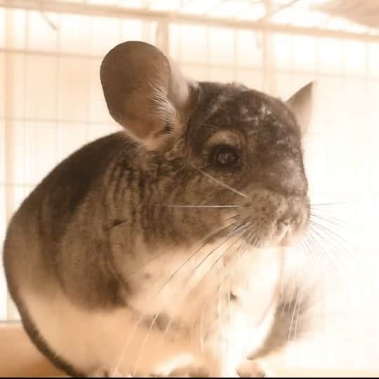 まつだ55のインスタグラム