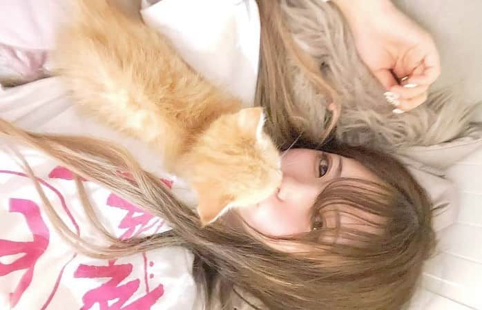 ゆーちゃんさんのインスタグラム写真 - (ゆーちゃんInstagram)「過去と他人は変えられないけど 未来と自分は変えられる。  今ある環境や周りとの対人関係が辛いときは 自分自身を磨くことに徹するのがオススメ。  なんで自分だけ、、？って思うかもしれないけど 人のためって思ってるうちは人のためになってない 自分のために努力して生きてこそなんぼよ！  あなたが変わることで、周りも影響されて 一人一人が ｢自分｣ を変えようとする。 回り回って結局それも自分の為に。  あなた一人の影響力が みんなの原動力になりますように！   #自己啓発 #本好きと繋がりたい﻿ #ビジネス書﻿ #格言﻿ #アウトプット﻿ #インプット﻿ #オススメ本﻿ #自己資産﻿ #自己投資﻿  #愛猫 #ねこ #ねこ部 #猫スタグラム #にゃんすたぐらむ #にゃんこ #猫のいる暮らし #猫好きさんと繋がりたい #猫好き #ねこのいる暮らし #ねこと暮らす #ミヌエット#マンチカン #ペルシャ #キス魔 #キスシーン #Chu #lip   写真はキス魔のちーすけ ฅ•ω•ฅ (o˘ ³(>ω<๑)♡ カメラ回してないことが多いけど 毎日うーたんに ちゅっ。てしてるの目撃する！！  わたしにはぺろぺろしにくる 、本当にかあいいんだから😆w」6月13日 20時53分 - yurina_era999