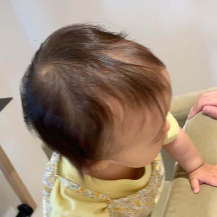 遠山雄也のインスタグラム：「. おはよう😎 今日はヘアメイクの為サロンはお休みです💤 . . . 😙💋👃🏻 . もうすぐ1歳 . . . . #生後361日 #女の子ベビー #パパと娘 . . . . #育児記録 #子供のいる暮らし #生後11ヶ月 #生後11ヶ月 .」