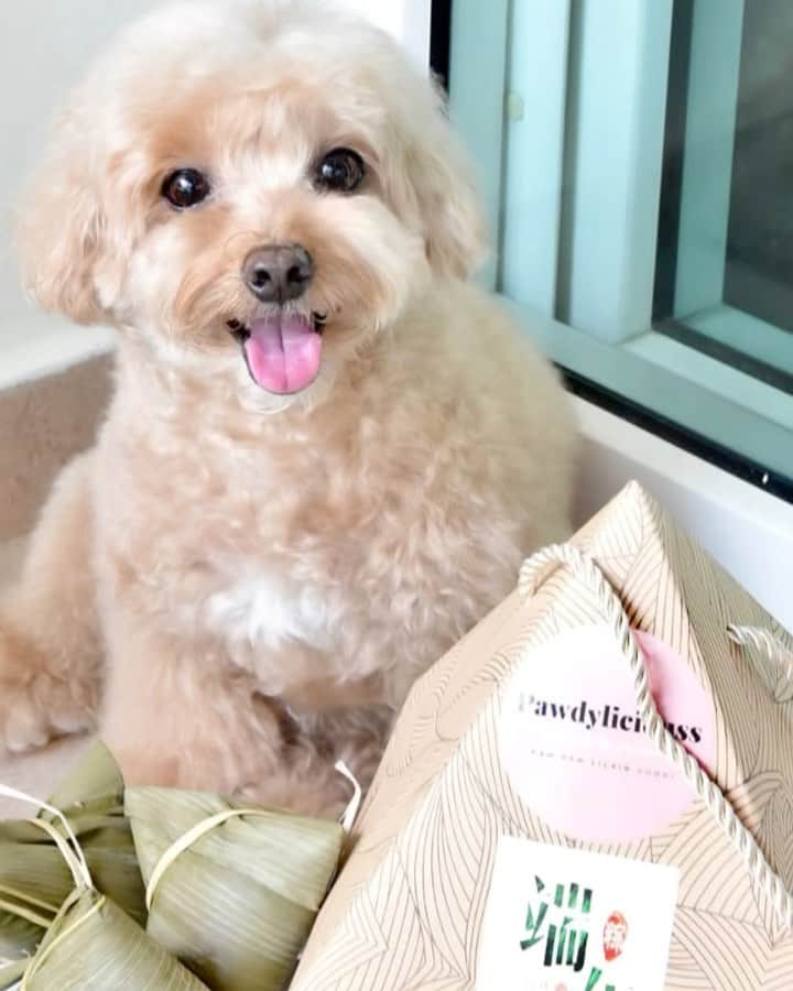 Truffle??松露?トリュフのインスタグラム：「📆(14Jun21) ㊗️Happy Dragon Boat Festival! 🐲🐉🚣‍♂️Mummy got me the yummy Bak Zhang fm @pawdyliciouss.sg 😋😋😋❤️ #yummybakzhang #dragonboatfestival」