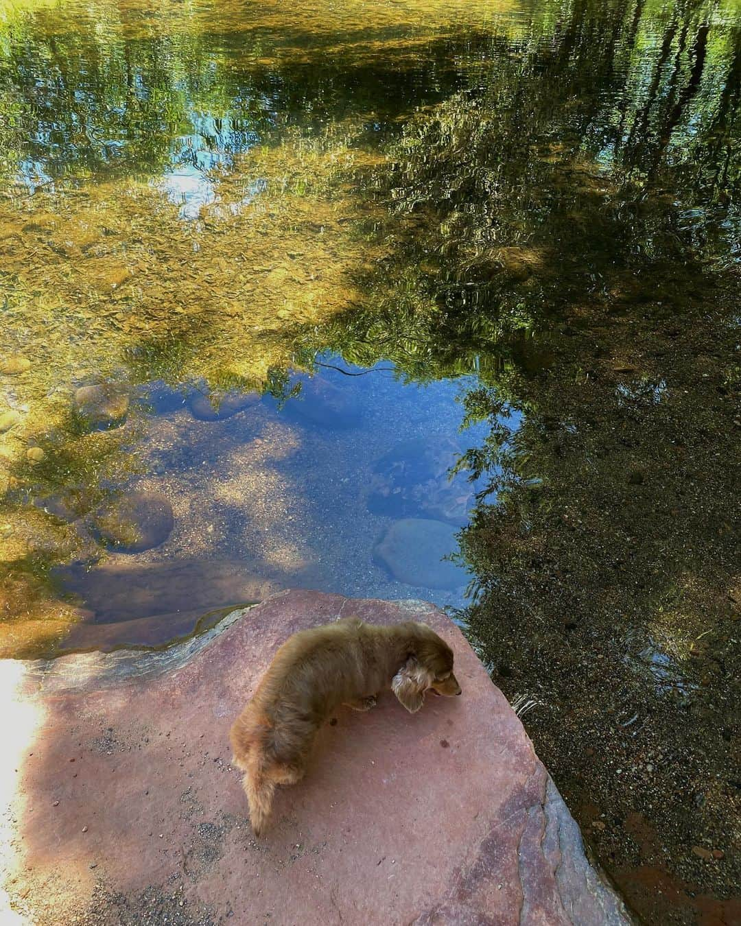 ローラさんのインスタグラム写真 - (ローラInstagram)「I visited Sedona to feel love from Mother Earth 🏜☺️✨　　母なる大地のエネルギーを感じるために、アリゾナ州にあるパワースポットの場所、セドナを訪れたよー🪐」6月14日 13時18分 - rolaofficial