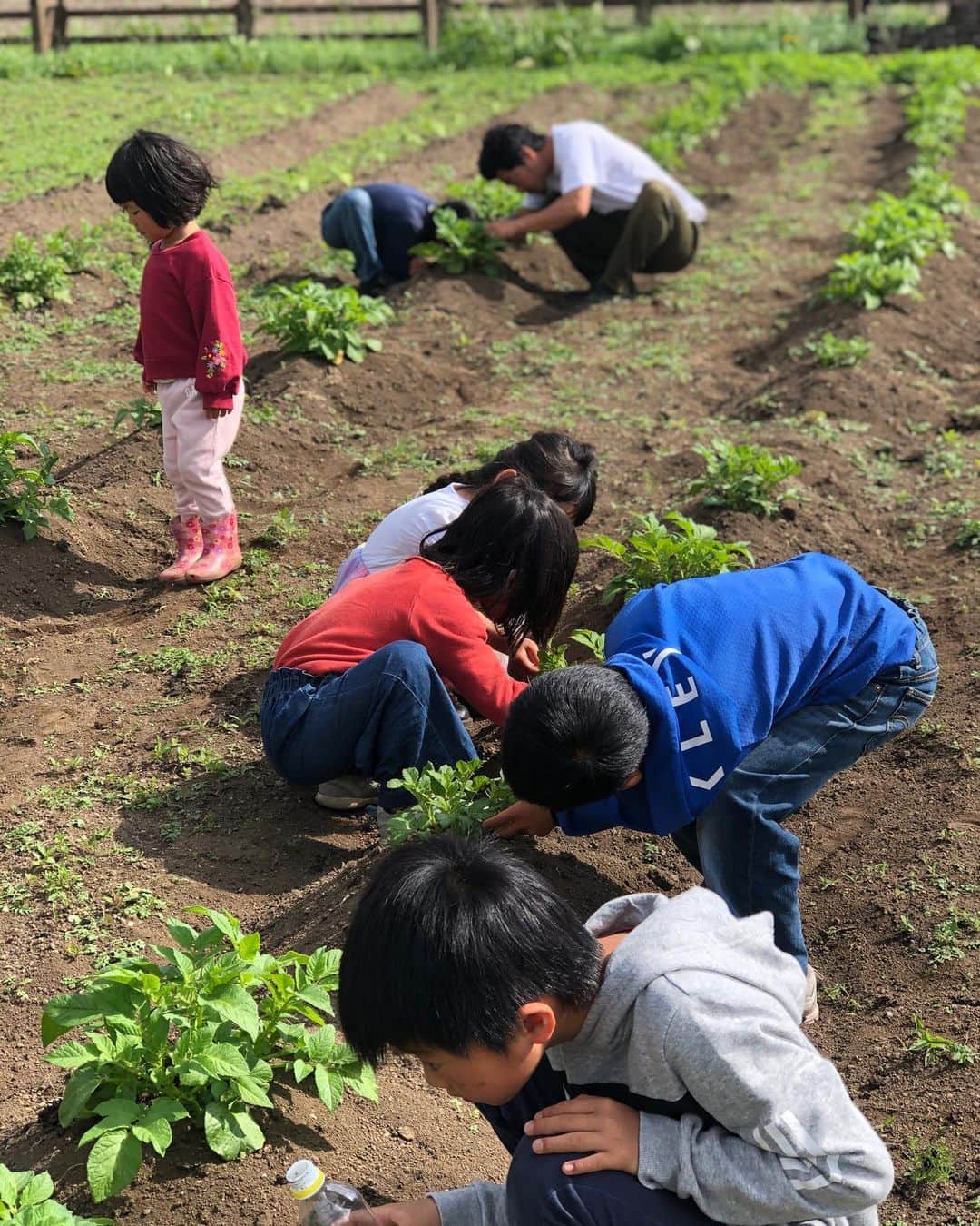 國母和宏さんのインスタグラム写真 - (國母和宏Instagram)「子供にとっては虫捕り、俺にとっては野菜育てる為の駆除🤫」6月14日 15時37分 - kazukokubo