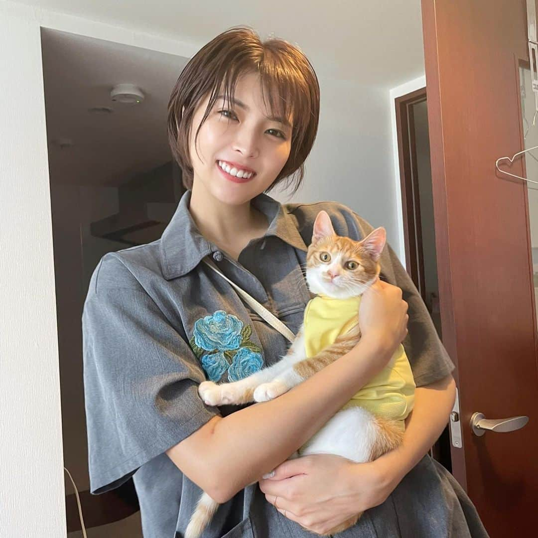 ききまるさんのインスタグラム写真 - (ききまるInstagram)「この子といると1日がすぐ終わる . .  . 🐈🐈🐈🐈🐈🐈🐈 . 2021.01.01、縁起のいい日に生まれた女の子です🚺❤️ 毎日投稿してるので是非フォローしていただいて成長を見守っていただければと思います🤲🏻　@chachagram_01  . 🐈🐈🐈🐈🐈🐈🐈 . #茶トラ女子部 #子猫のいる生活　#子猫里親 #子猫のいる生活 #子猫成長記録 #子猫部 #子猫育て #保護猫 #保護猫と暮らす #保護猫を家族に #保護猫出身 #保護猫から家族 #茶トラ #茶トラ猫 #茶トラ白 #茶トラ女子 #茶トラ　#にゃんこ　#にゃんこ部 #にゃんこlove #にゃんこすたぐらむ　#猫の日 #猫のいる暮らし #猫好きさんと繋がりたい #kitty #kittys #cats #catlover」6月14日 18時24分 - kikigram_97