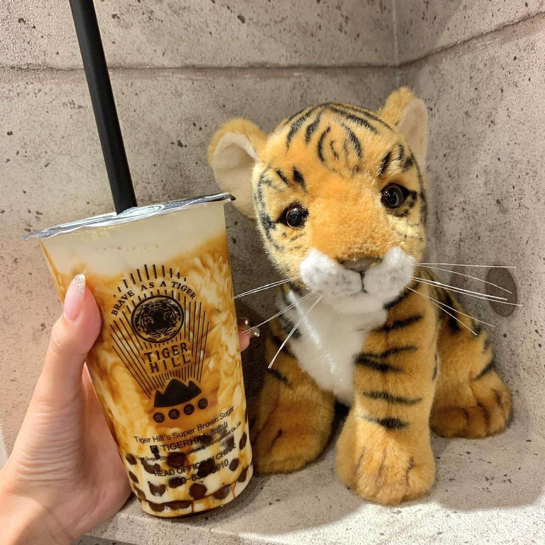 吉川ちかさんのインスタグラム写真 - (吉川ちかInstagram)「tigerhillのタピオカ 久しぶりに飲んだよ🥺💓 やっぱり美味しかった！ . タイガーと一緒に撮ってみた！ めちゃくちゃ可愛いよね👋💕 今日、高円寺いってみたけど 街の雰囲気好きすぎた☺️ 味がある街並み好きだなぁ！ . #tigerhill #タピオカ#タピオカ巡り #タピオカドリンク #タイガーヒル#タピオカ部#タイガー#美味しかった」6月14日 21時16分 - yoshikawachika_1116