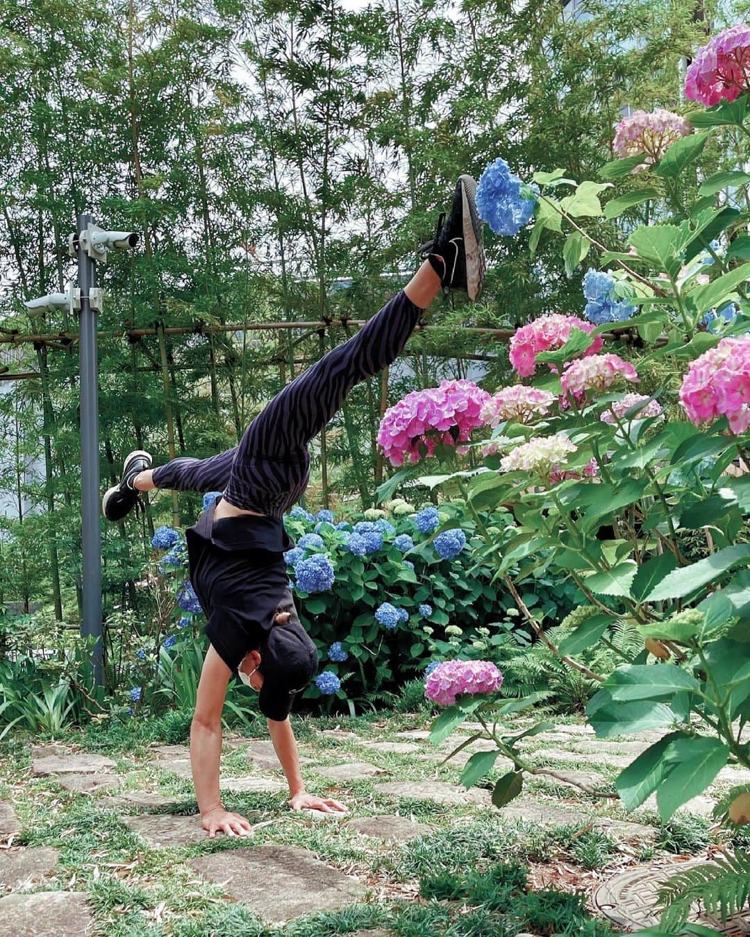 岡部紗季子のインスタグラム：「“ #梅雨 #紫陽花 #hydrangea #逆立ち女子 . . @w_o_e_2 @handstand_woe_tokyo  . . Rainy Days… . . 今日から梅雨入り！ 外で体動かすことが多いから、 あぁー雨かぁー😩💦 って思うことが多くなるかもしれないけど、 雨だから出来ること、 雨だから感じることたくさんある！  どんなときも 前に！プラスに！  たまにはジム行ってウェイトやろうかなとか😚👍🏽  考え方と行動、 どんどん変えて、 自分の変化や周りの変化に怖がらず楽しむ！ . . . とは言っても、 やっぱり🌞が待ち遠しい！ 夏🌻が待ち遠しい！！」