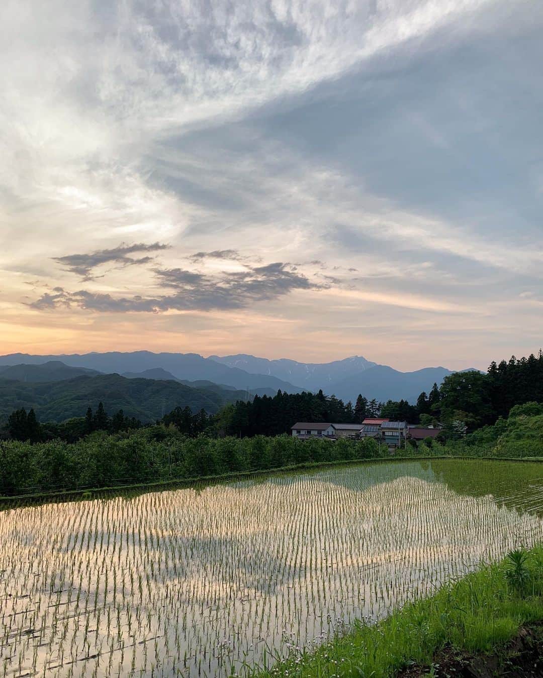 田沢美亜のインスタグラム：「田園に映り込む谷川岳🏔  美しい景色。 守りたい景色😌  #tthreefarm #田園風景 #谷川岳 #水上 #群馬 #美しい景色」