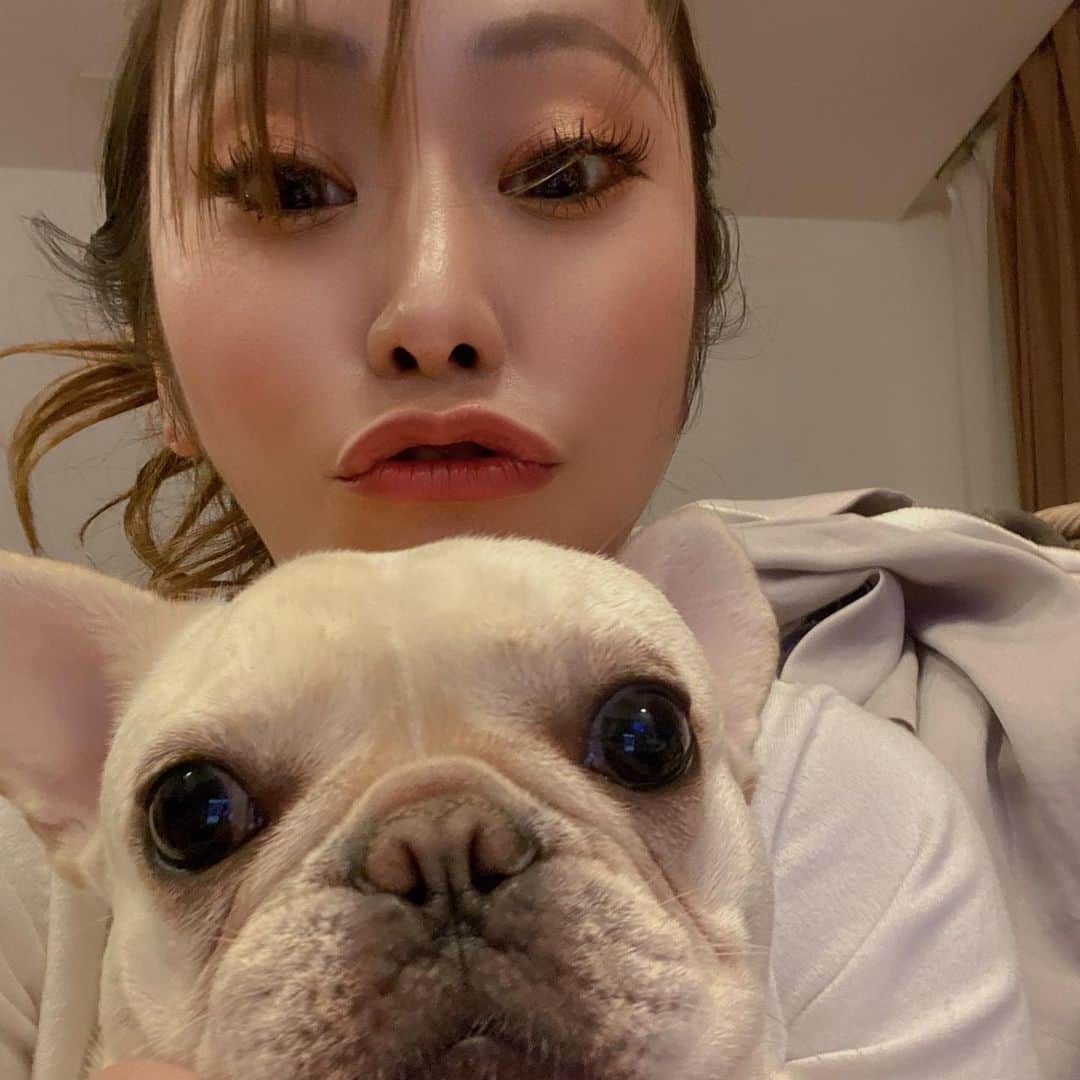 渡瀬茜のインスタグラム：「昨日の6月13日でうちのパルムくん4歳になりました☺️💓 2ヶ月の赤ちゃんの時からうちの子になってくれてパルムのおかげでもっと幸せで楽しい毎日を過ごしております🐾💓 ありがとパルちゃん💖 これからも仲良く暮らしていきましょうね🤗 ほんと大きくなったなぁ☺️  #愛犬のお誕生日#愛犬との暮らし#フレブル#フレンチブルドッグ#ブヒ#ブヒちゃん#大切な相棒#大切な家族#4歳の男の子#カメラ目線わんちゃん#カメラ慣れ犬#うちのいっぬ」