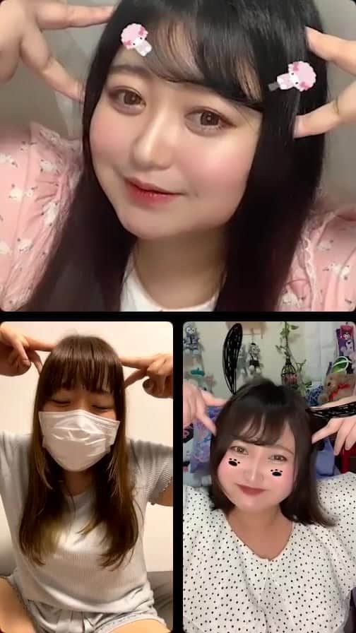 えみっくすのインスタグラム：「@mayumo.corde  @kurumi_kobayakawa   #ぽっちゃり #ぽっちゃり女子 #ぽっちゃりさんと繋がりたい #ぽっちゃり大人女子 #chubby #ぽっちゃり女子と繋がりたい #ぽっちゃりおねぇさんず #アラサー #アラサー女子 #プラスサイズ #plussize #curvy #curvygirl #ボディポジティブ #bodypositive #ぽっちゃりファッション #ぽっちゃりコーデ #インスタライブ #方言 #方言女子 #青森 #デブカリ #」