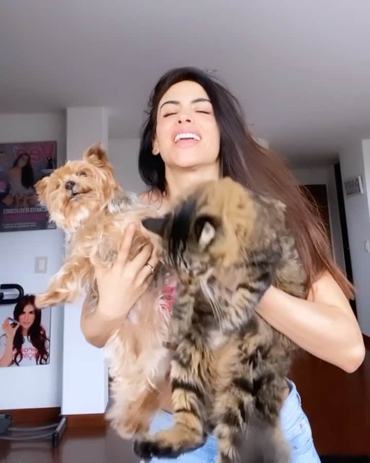 のインスタグラム：「Ustedes son lo máximo! 😂 Ya me estaban diciendo por interno que ajá  y Perseo? Aquí está el nene de la mamá! 🥰  Yo hago esto TODOS los días con mis bebes. Los cargo y les hablo bastante! y me ha funcionado MUY  bien para que se acepten el uno al otro! @perseocediel @jupitercediel  Los amo! Los dueños de mi corazón ❤️❤️🤤💋 Que alguien me explique la cara de @perseocediel 🙊 Jupiter llego más pequeño que Perseo y ahora... parece un ternero🤪」