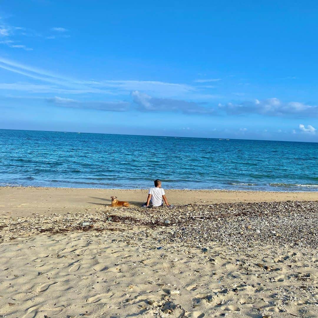 宮本亜門さんのインスタグラム写真 - (宮本亜門Instagram)「また うみにいきたいなあ🌊🌊🌊　 #アーカイブ　#思い出　#好きな海岸　#保護犬　#ビート　#宮本亞門」6月15日 8時33分 - beatamon