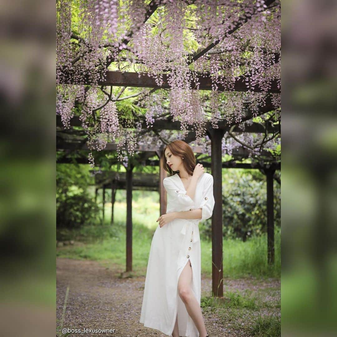 浅香ななみさんのインスタグラム写真 - (浅香ななみInstagram)「. 美マ出演しはじめてから季節の花を意識するようになりました🙌 . 今月末は紫陽花ポトレですよ〜📸 . . #美マージュ #撮影会 #フジ」6月15日 10時08分 - _773.a_