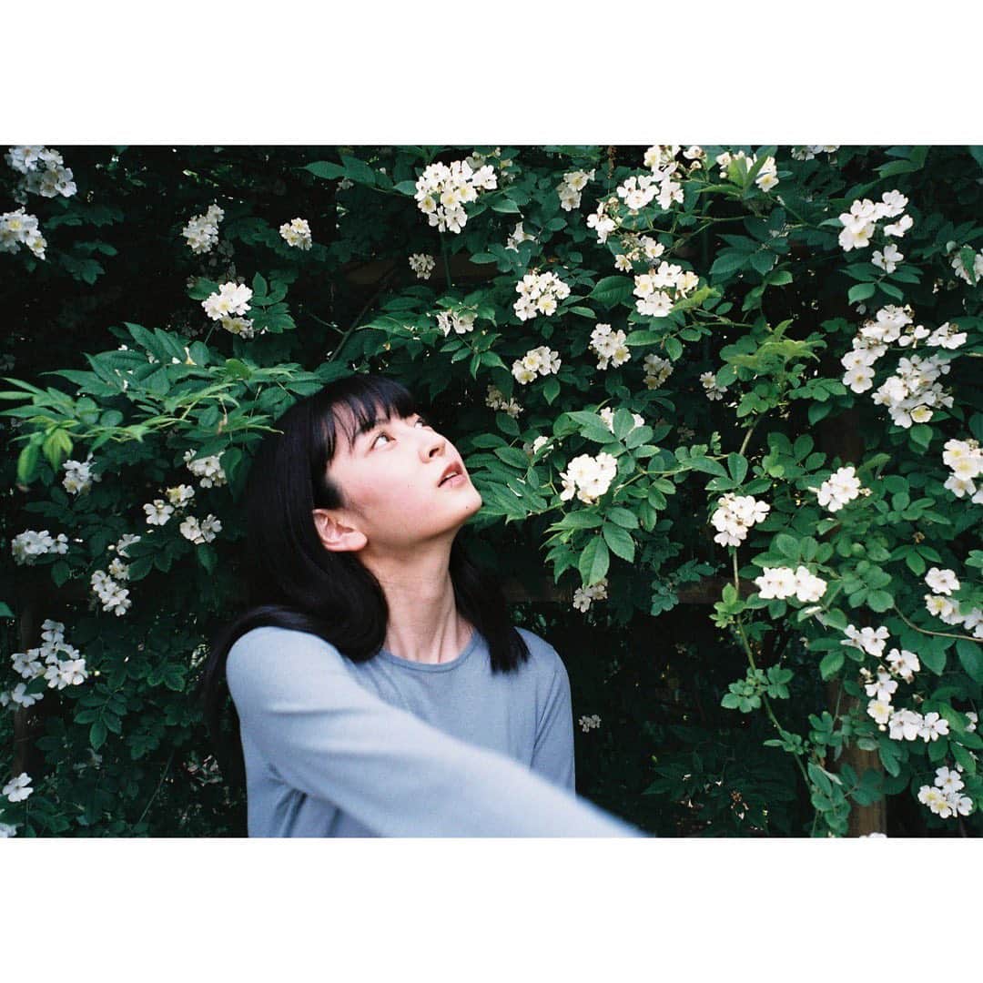 成田愛純さんのインスタグラム写真 - (成田愛純Instagram)「#film 🌳⚪️🌳⚪️🌳⚪️」6月15日 19時59分 - narita_asumi.official