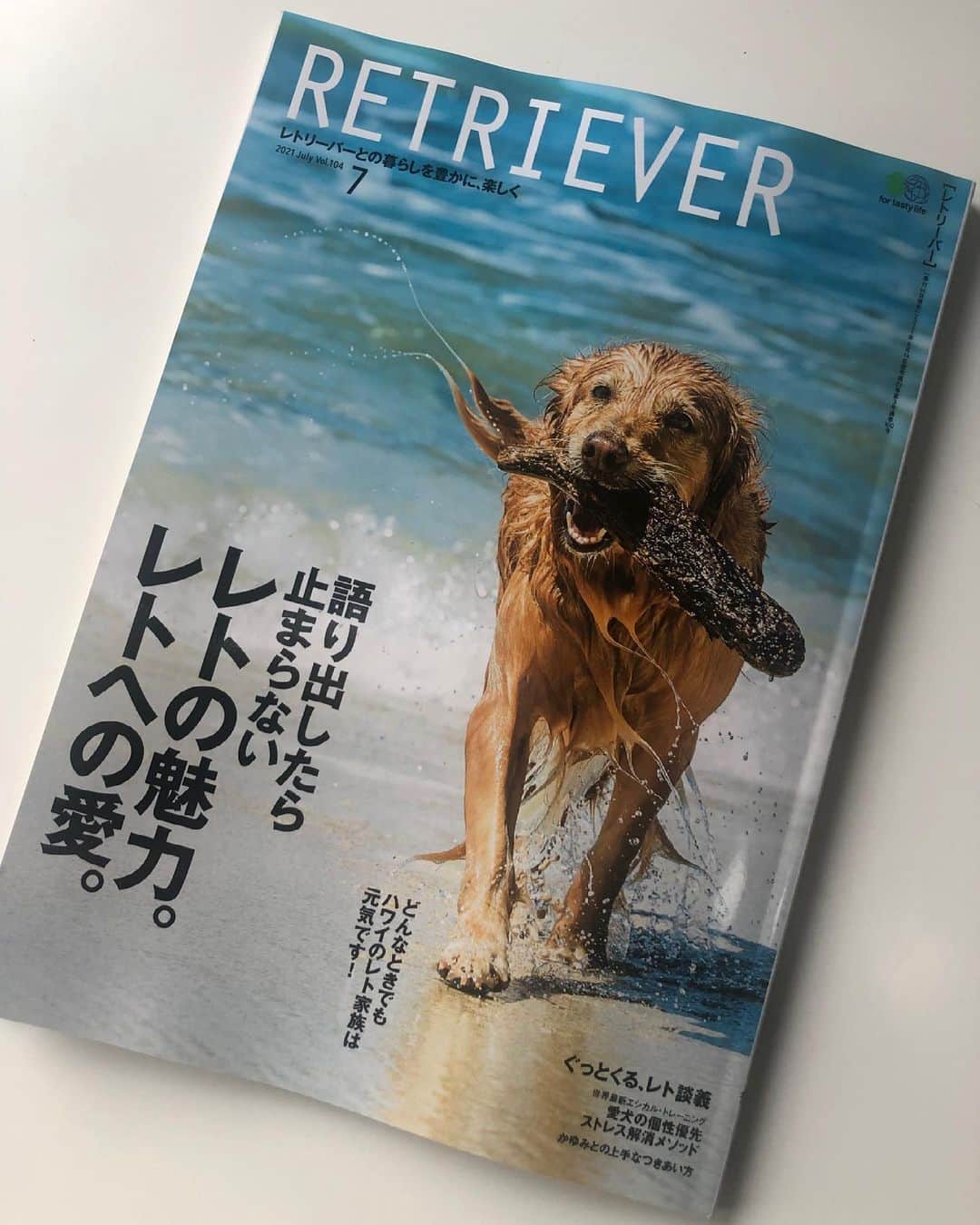 高橋ひとみさんのインスタグラム写真 - (高橋ひとみInstagram)「6/14発売　「RETRIEVER 」 レトリーバーとの暮らしを豊かに、楽しく 7月号　Vol.104に 私とこれまで一緒に暮らしてきた愛犬たちに関するインタビュー記事が掲載されました ももえの写真も載ってます。 Photo by ももえお父さん📷 レトリーバー愛がいっぱい詰まった本です❣️ #retriever  #レトリーバー」6月15日 20時51分 - hitomi_momoe