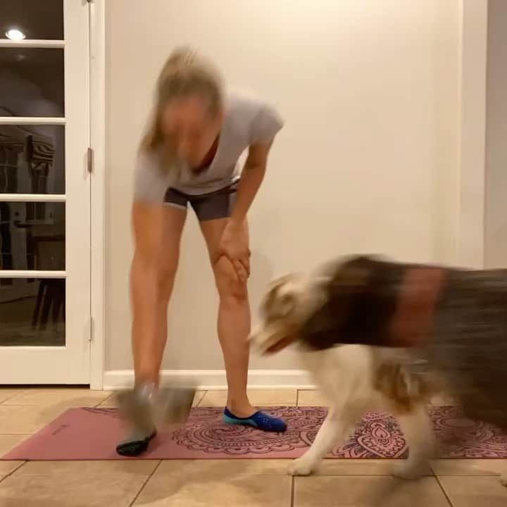 ブリージャ・ラーソンのインスタグラム：「Recovering after our runs is crucial💪 and so are the forced cuddles during SteYoga (stebult yoga)  #poweredbyasea #recover #dogyoga #getoutside」