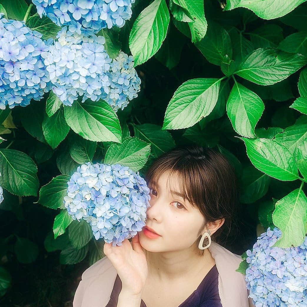 のインスタグラム：「ㅤㅤㅤㅤㅤㅤㅤㅤㅤㅤㅤㅤㅤ  昨日から梅雨入りしましたね☂️  ㅤㅤㅤㅤㅤㅤㅤㅤㅤㅤㅤㅤㅤ 雨の日は気分が下がりがちですが 意外と雨の音を聞くのは好きだったりします💠  ㅤㅤㅤㅤㅤㅤㅤㅤㅤㅤㅤㅤㅤ  ㅤㅤㅤㅤㅤㅤㅤㅤㅤㅤㅤㅤㅤ photo by: @sakachan_   ㅤㅤㅤㅤㅤㅤㅤㅤㅤㅤㅤㅤㅤ #ポートレート  #ポートレート撮影  #紫陽花  #梅雨入り  #あじさい  ㅤㅤㅤㅤㅤㅤㅤㅤㅤㅤㅤㅤㅤ」