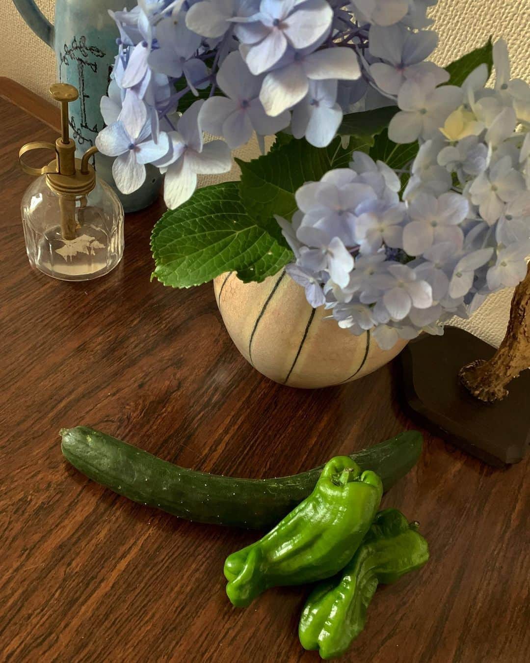 仲川希良さんのインスタグラム写真 - (仲川希良Instagram)「「ご自由にお持ちください」と置かれていた紫陽花たち 雨が降る前に急いで採ってきたばかりの野菜を 代わりにお渡しして ありがたくいただいて帰りました ・ 梅雨空の下で物々交換 ・ 雨音の響く夜のリビングに 紫陽花の優しい紫がにじんでいくよう ・ ・ #☔️ #夏野菜 #紫陽花 #梅雨」6月15日 22時53分 - kiranakagawa