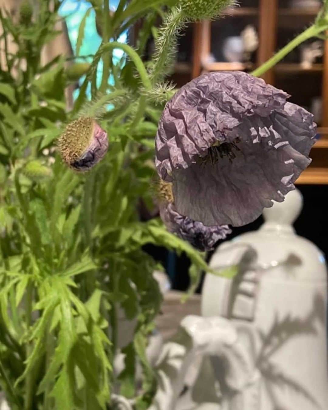 のインスタグラム：「Enchainement & Objects of XVIII,XIX th c. Elements  #lejardinouvert #ルジャルダンウヴェール  #enchainement  #アンシェヌマン   @lejardinouvert」