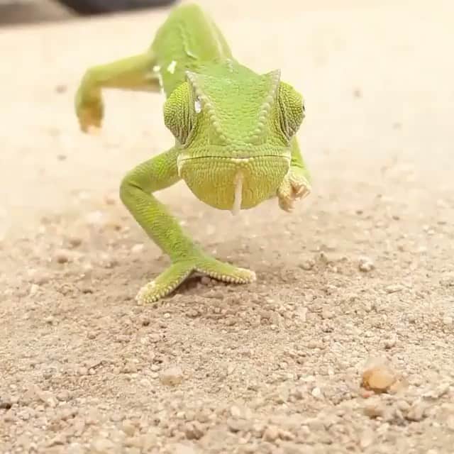 のインスタグラム：「Slow is smooth. Smooth is fast.」