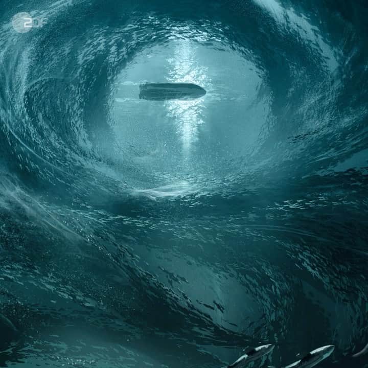 のインスタグラム：「So excited about this... #TheSwarmIsComing」