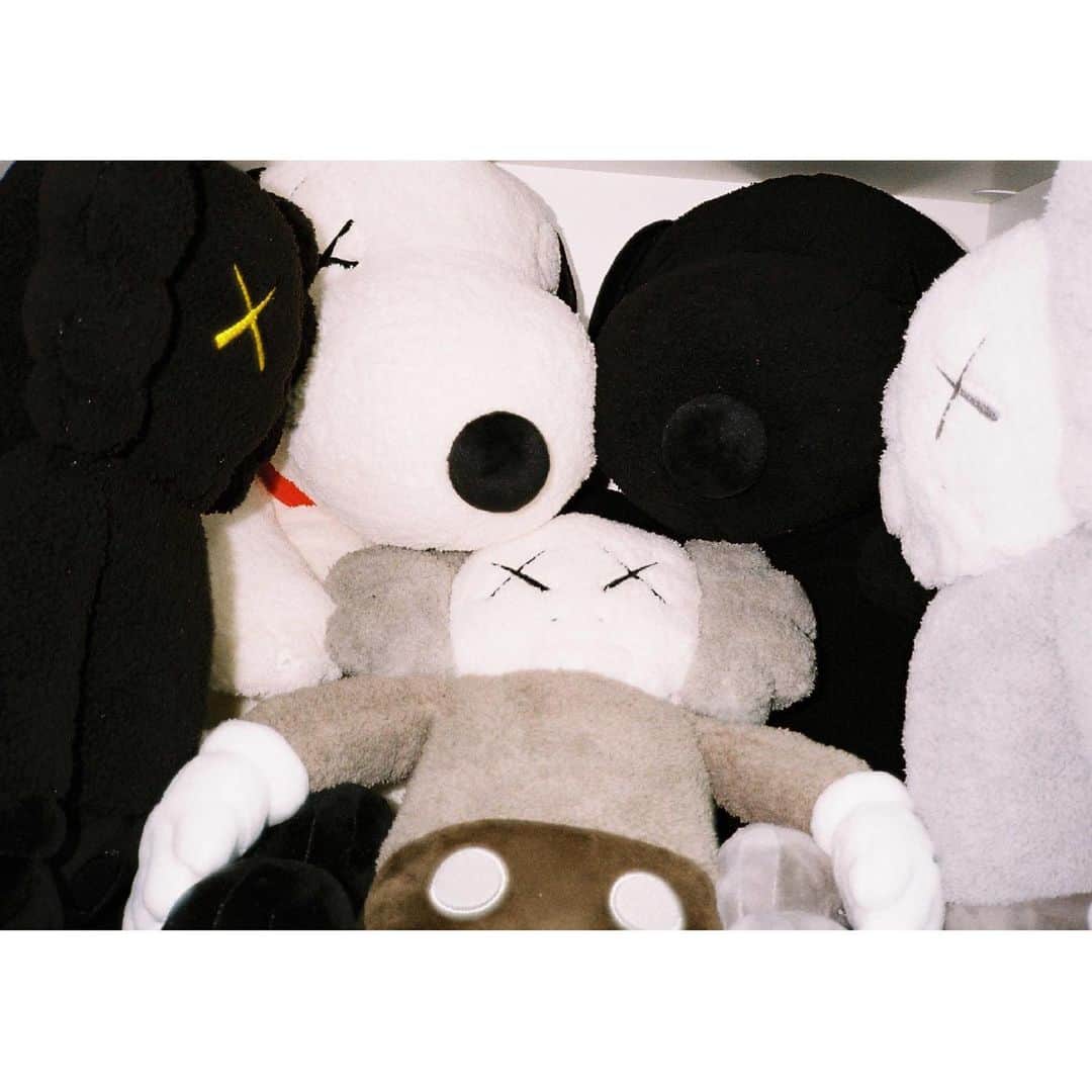 和田颯のインスタグラム：「@kaws 🖤 #contaxt2 #kodak #kodakcolorplus200」