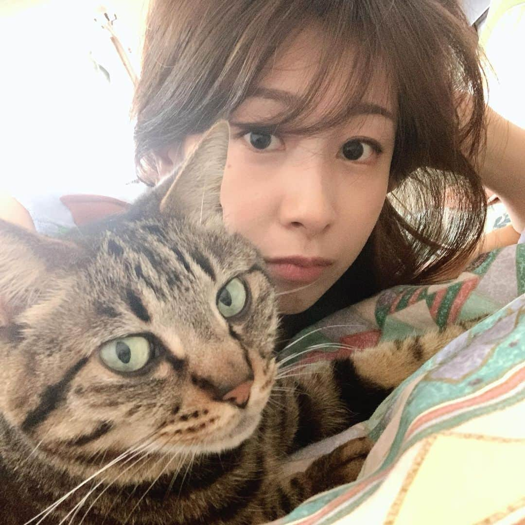 加藤綾子さんのインスタグラム写真 - (加藤綾子Instagram)「* 久々のみーちゃん登場です😻 2枚目、目つきが怖い…🤣笑 でもみーちゃんと呼ぶとちゃんとミャーとお返事するとっても可愛いみーちゃんです😄💕」6月16日 21時20分 - ayako_kato.official