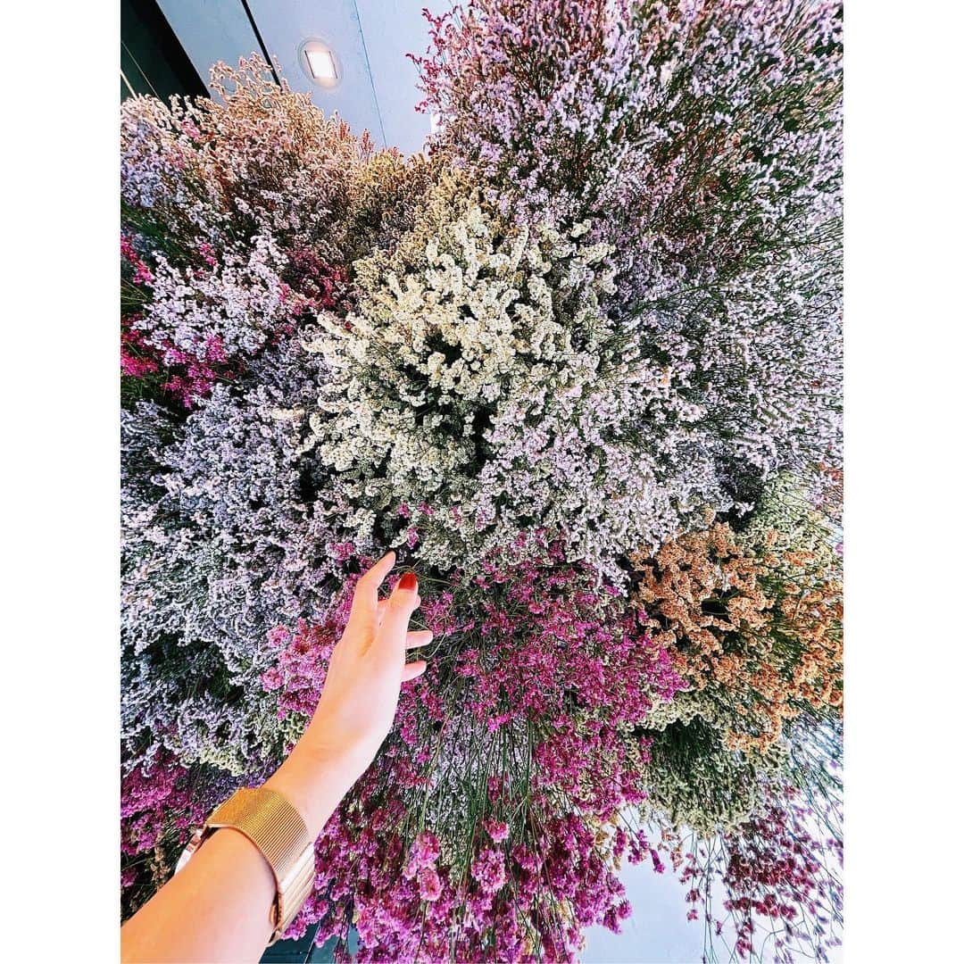 潘めぐみさんのインスタグラム写真 - (潘めぐみInstagram)「おはよう、木曜日。  とてもStay  Goldな場所を見つけたので。  みんなの日々もそうでありますように…。  そう願いを込めて。  いってきます。  いってらっしゃい。  #StayGold #BTS #tokyo #flower #dryflower」6月17日 9時40分 - han_meg_han