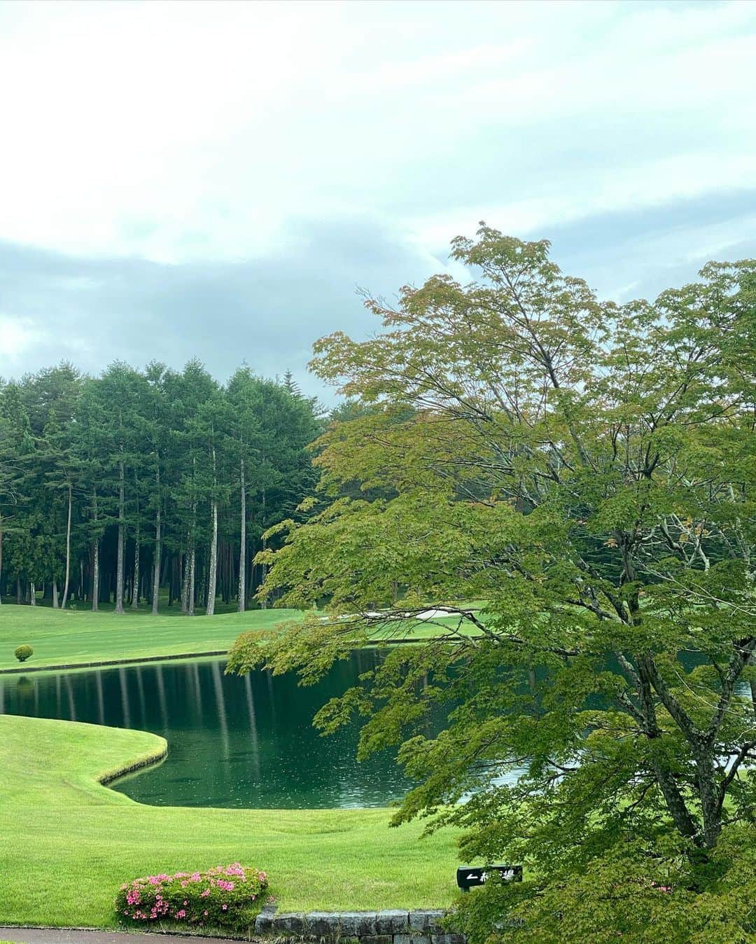 ImotoEtsuyo さんのインスタグラム写真 - (ImotoEtsuyo Instagram)「昨日は　#鳴沢ゴルフ倶楽部 へ。  コースロケーションの美しさは真に圧巻！  キャディ-さんのアドバイスも的確でした。   美しい景観、早起きして良かった〜。 また投稿しますね。  通気性と速乾性に優れたポロシャツは  @barzagli_official_ のもの。 伸縮性にも優れており、 ゴルフのスイングも邪魔しません⛳️  このマスク通気性もよくスポーツの時は 必ずこちらのマスクをつけています。 口紅もつきにくいのでお気に入り。  #マスク　#ポロシャツ  ➡︎ @barzagli_official_ #バルザーリ  ・ ・ #ゴルフ女子  #ゴルフコーデ  #ゴルフ好き  #ゴルフ大好き  #golf  #ゴルフ場  #ゴルフラウンド  #ラウンド  #golfwear  #golfstagram  #golfgirl  #golflife  #golfswing  #鳴沢  #鳴沢村  #マイナスイオン  #癒し」6月17日 8時17分 - bisuhada