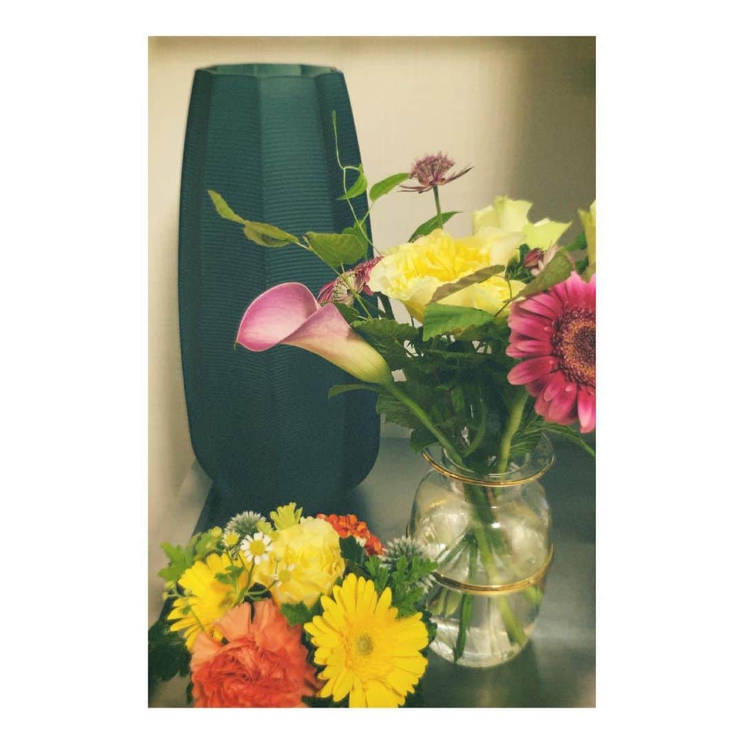 阿部華也子さんのインスタグラム写真 - (阿部華也子Instagram)「♪  いただいたお花とお気に入りの花瓶💐」6月17日 19時08分 - kayakoabeofficial